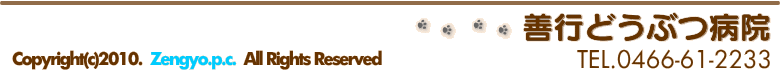 善行動物病院 TEL.0466-61-2233