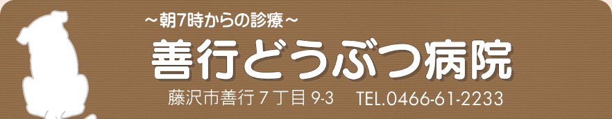 朝7時からの診療　善行動物病院 神奈川県藤沢市善行7丁目9-3